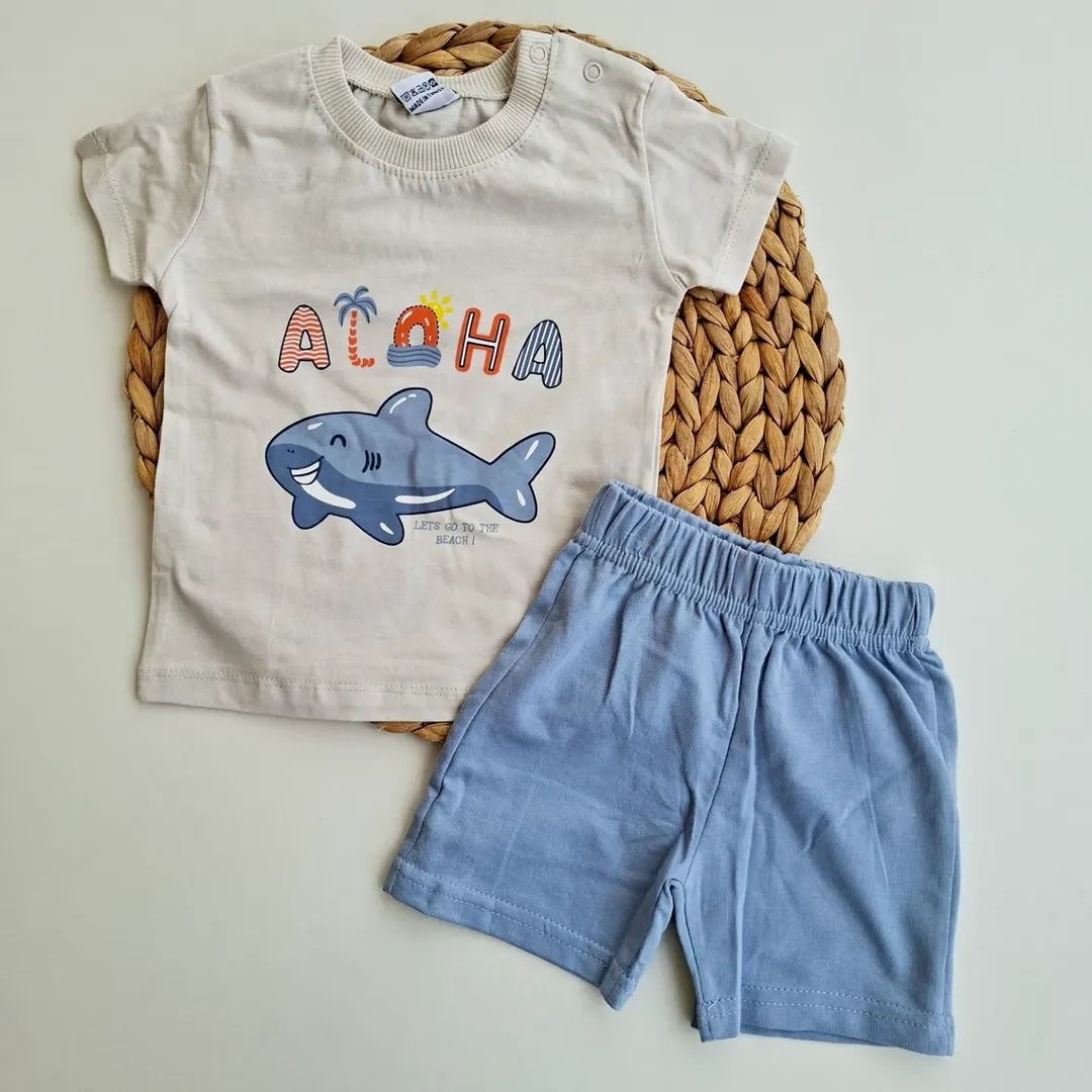 Baby Boy Everyday Summer Outfit