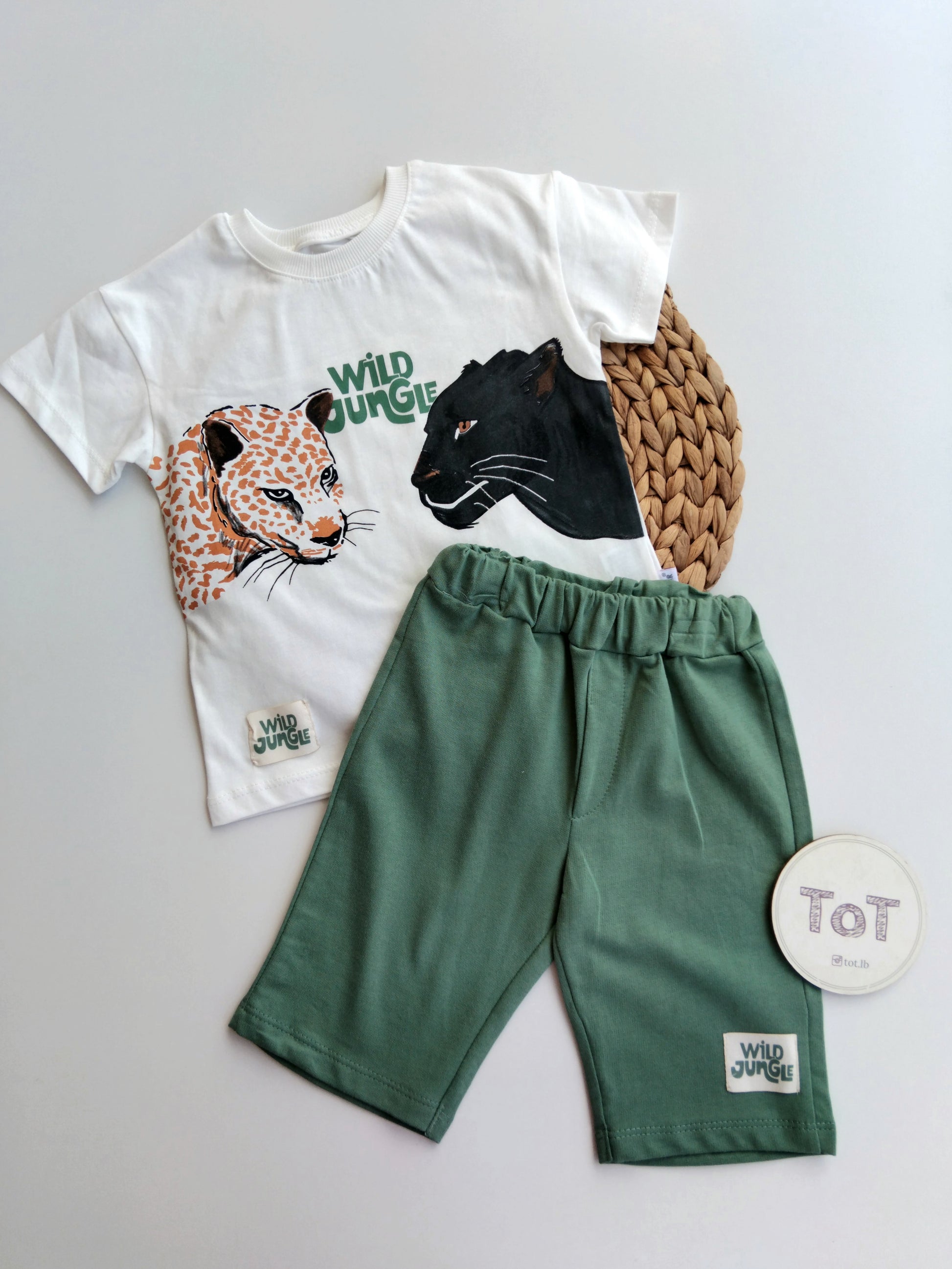 Boys Everyday Summer Set